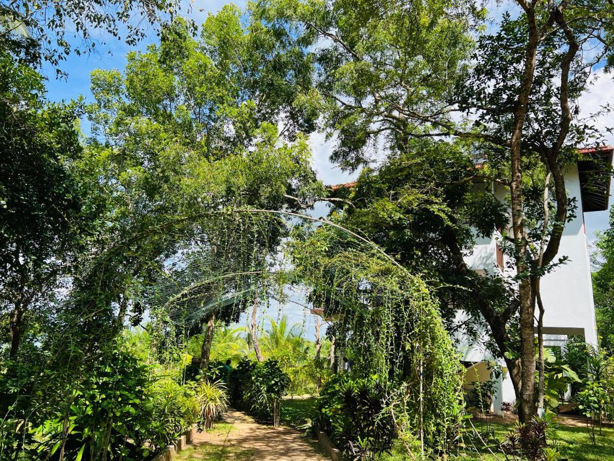 Ashansa Lagoon Resort Tangalle Exteriör bild